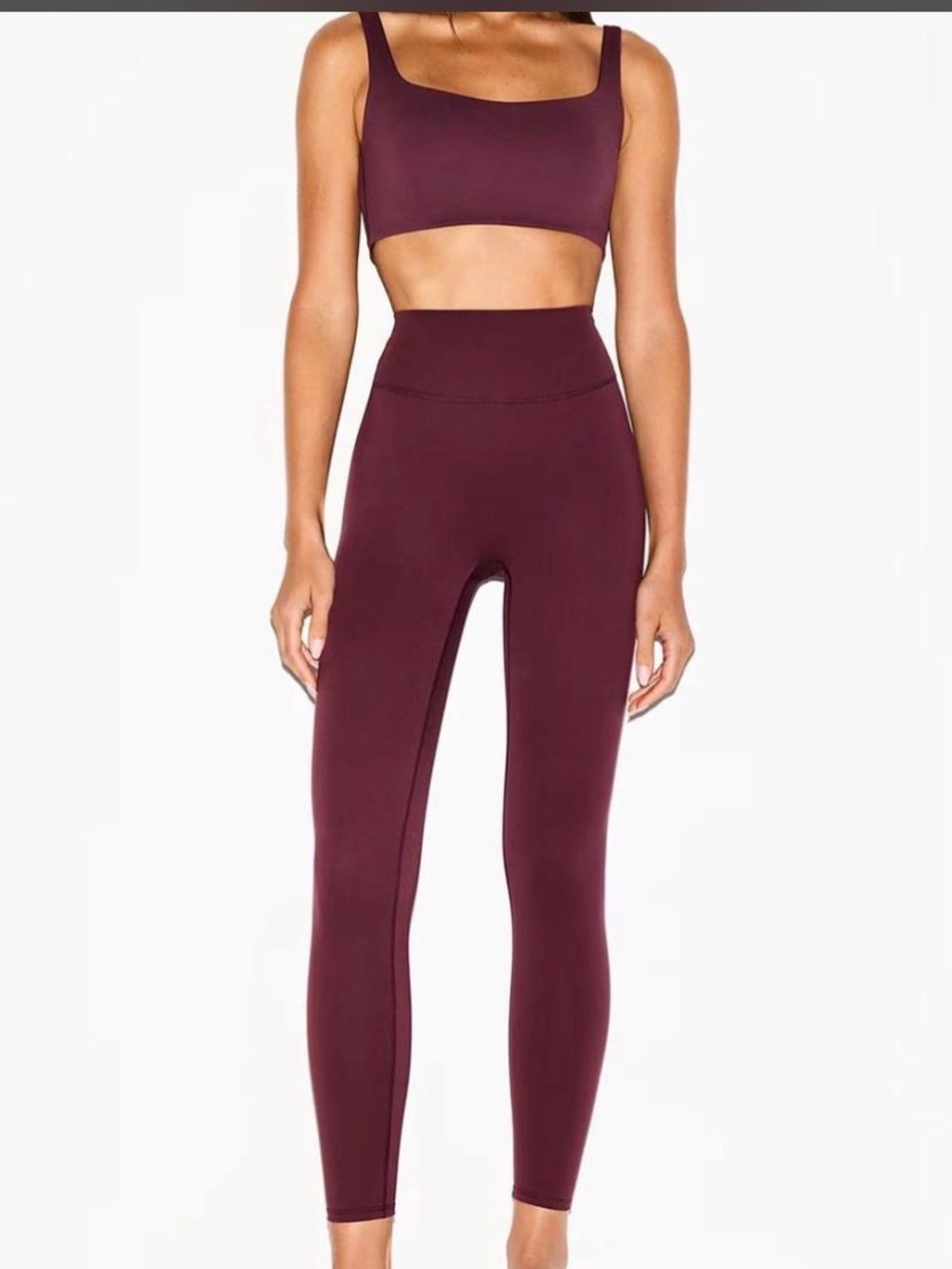 NWT Nike Skims matte leggings 29” in• currant • XS